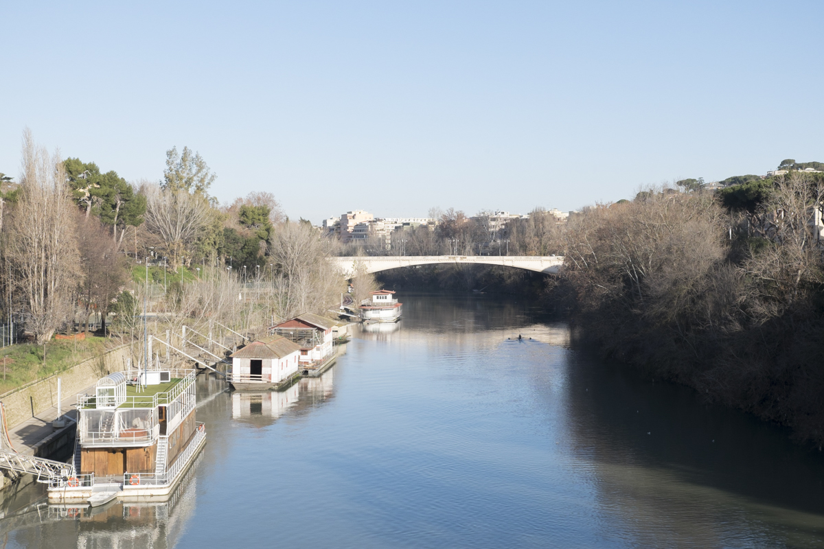 DSCF1131-1